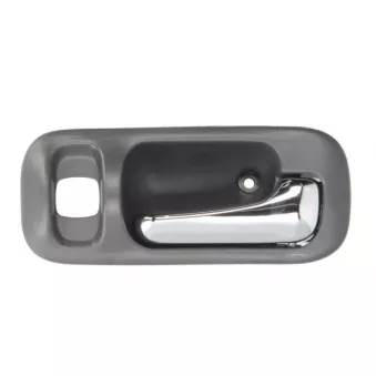 Poignet de porte, équipment intérieur arrière droit BLIC 6010-12-031408TP