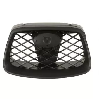 Grille de radiateur BLIC 6502-07-6733990P