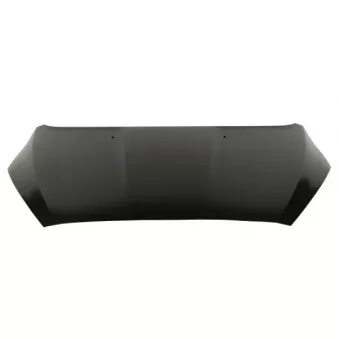 Capot-moteur BLIC 6803-00-2596280P