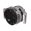 Alternateur STARDAX PRZE-STX100013 - Visuel 2