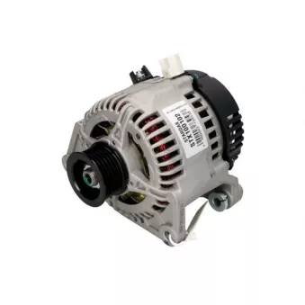 Alternateur STARDAX STX100102R