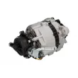 Alternateur STARDAX STX101147 - Visuel 2