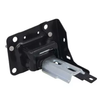 Suspension, boîte de vitesse manuelle REINHOCH RH11-2201