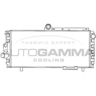 Radiateur, refroidissement du moteur AUTOGAMMA 100001