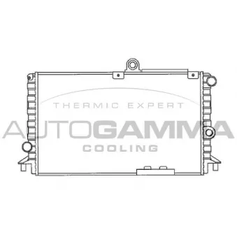 Radiateur, refroidissement du moteur AUTOGAMMA 100004