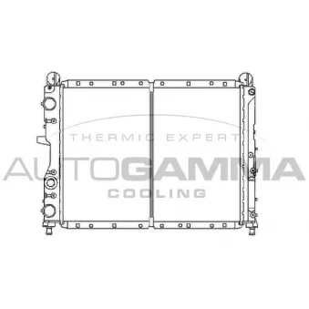 Radiateur, refroidissement du moteur AUTOGAMMA 100014