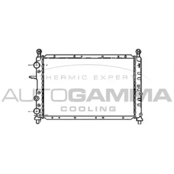 Radiateur, refroidissement du moteur AUTOGAMMA 100016