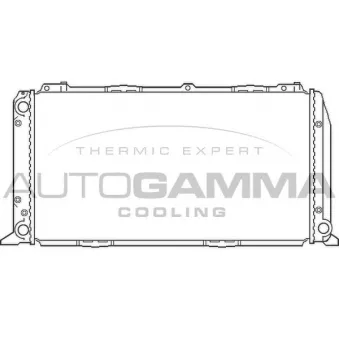 Radiateur, refroidissement du moteur AUTOGAMMA 100041