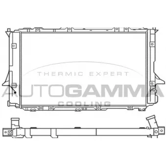 Radiateur, refroidissement du moteur AUTOGAMMA 100059