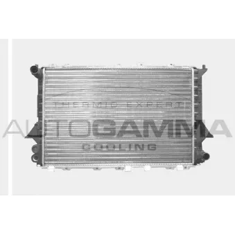 Radiateur, refroidissement du moteur AUTOGAMMA 100060
