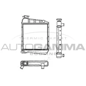 Radiateur, refroidissement du moteur AUTOGAMMA 100075