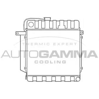 Radiateur, refroidissement du moteur AUTOGAMMA 100082