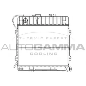 Radiateur, refroidissement du moteur AUTOGAMMA 100089