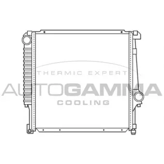 Radiateur, refroidissement du moteur AUTOGAMMA 100099