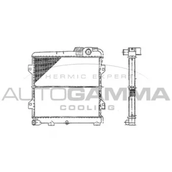 Radiateur, refroidissement du moteur AUTOGAMMA 100115