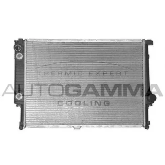Radiateur, refroidissement du moteur AUTOGAMMA 100131