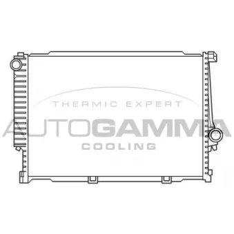Radiateur, refroidissement du moteur AUTOGAMMA 100132