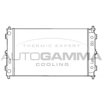 Radiateur, refroidissement du moteur AUTOGAMMA 100138