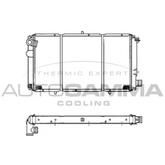 Radiateur, refroidissement du moteur AUTOGAMMA 100170