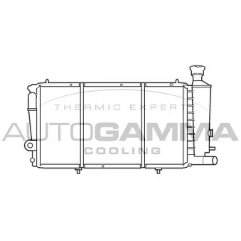 Radiateur, refroidissement du moteur AUTOGAMMA 100172