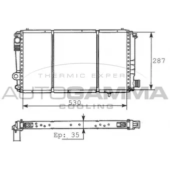 Radiateur, refroidissement du moteur AUTOGAMMA 100173
