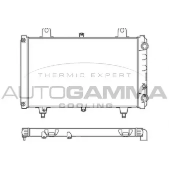 Radiateur, refroidissement du moteur AUTOGAMMA 100174