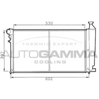 Radiateur, refroidissement du moteur AUTOGAMMA 100197