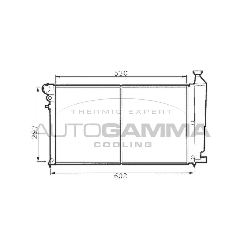 Radiateur, refroidissement du moteur AUTOGAMMA 100197