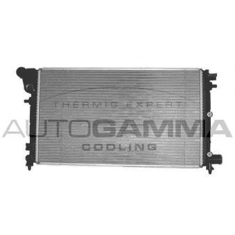 Radiateur, refroidissement du moteur AUTOGAMMA 100198