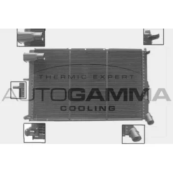 Radiateur, refroidissement du moteur AUTOGAMMA 100222
