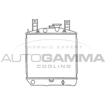 Radiateur, refroidissement du moteur AUTOGAMMA 100242