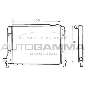 Radiateur, refroidissement du moteur AUTOGAMMA 100272