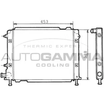 Radiateur, refroidissement du moteur AUTOGAMMA 100273