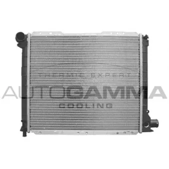 Radiateur, refroidissement du moteur AUTOGAMMA 100276