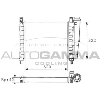 Radiateur, refroidissement du moteur AUTOGAMMA 100287