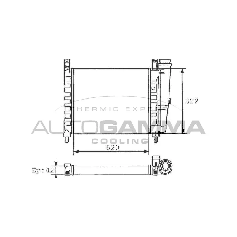 Radiateur, refroidissement du moteur AUTOGAMMA 100287