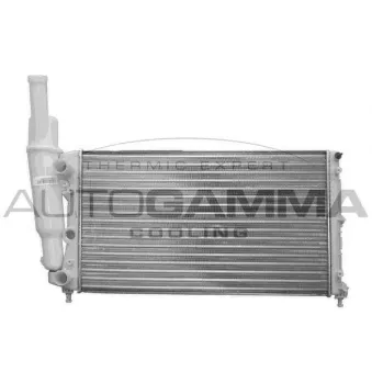 Radiateur, refroidissement du moteur AUTOGAMMA 100294