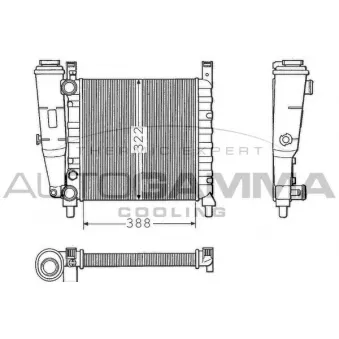 Radiateur, refroidissement du moteur AUTOGAMMA 100315
