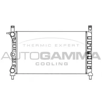 Radiateur, refroidissement du moteur AUTOGAMMA 100318