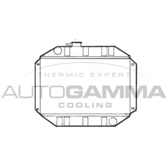 Radiateur, refroidissement du moteur AUTOGAMMA 100320