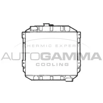 Radiateur, refroidissement du moteur AUTOGAMMA 100325