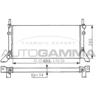Radiateur, refroidissement du moteur AUTOGAMMA 100340