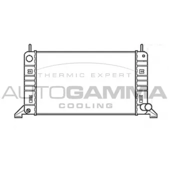 Radiateur, refroidissement du moteur AUTOGAMMA 100344