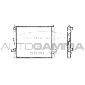 Radiateur, refroidissement du moteur AUTOGAMMA 100359
