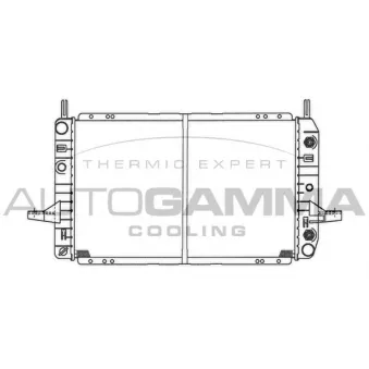 Radiateur, refroidissement du moteur AUTOGAMMA 100380