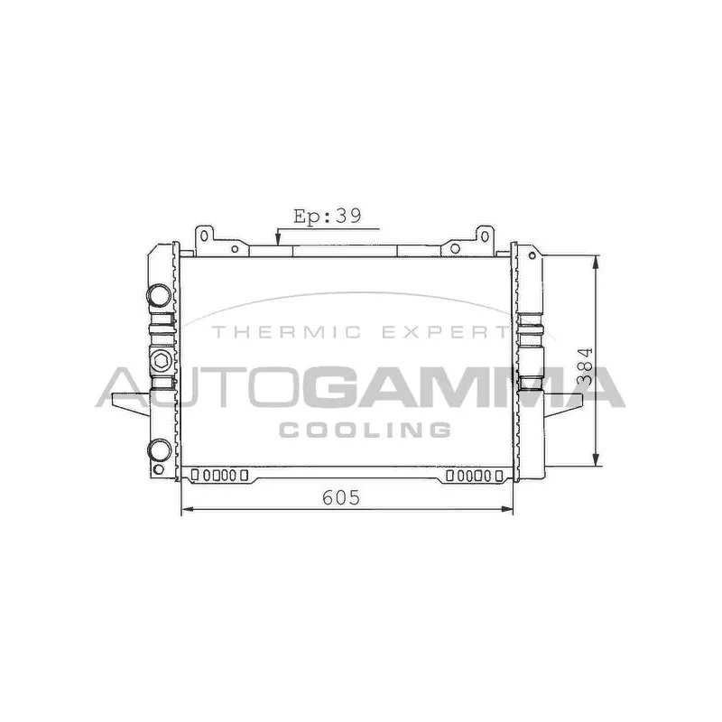 Radiateur, refroidissement du moteur AUTOGAMMA 100384