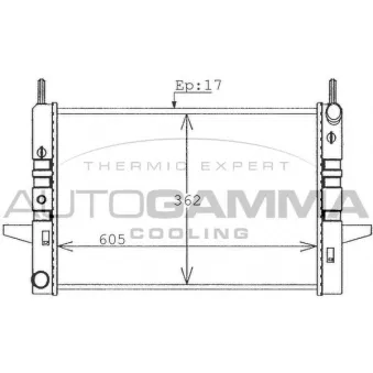 Radiateur, refroidissement du moteur AUTOGAMMA 100386