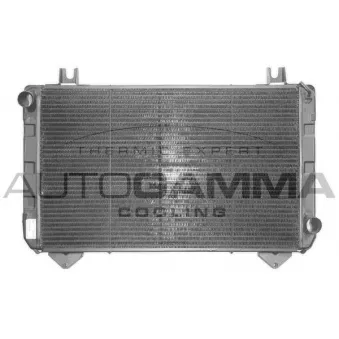 Radiateur, refroidissement du moteur AUTOGAMMA 100397