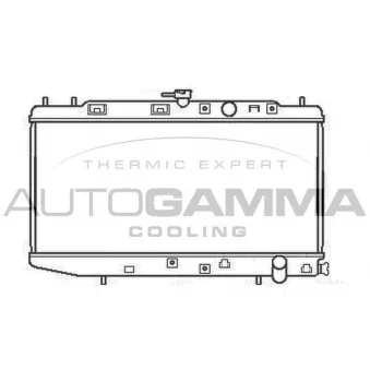 Radiateur, refroidissement du moteur AUTOGAMMA 100413