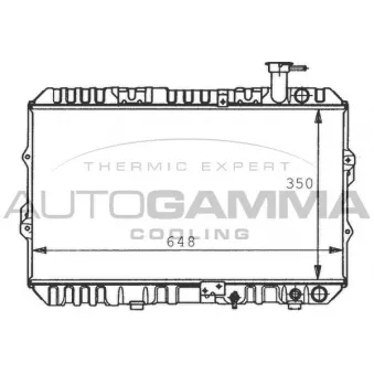 Radiateur, refroidissement du moteur AUTOGAMMA 100418